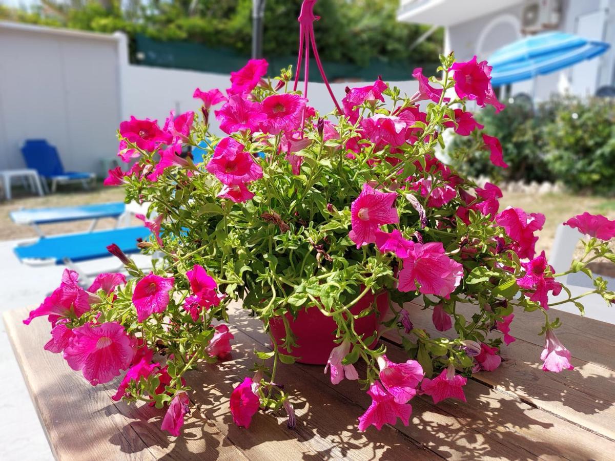 Apartment Leta Agios Georgios (Corfu)