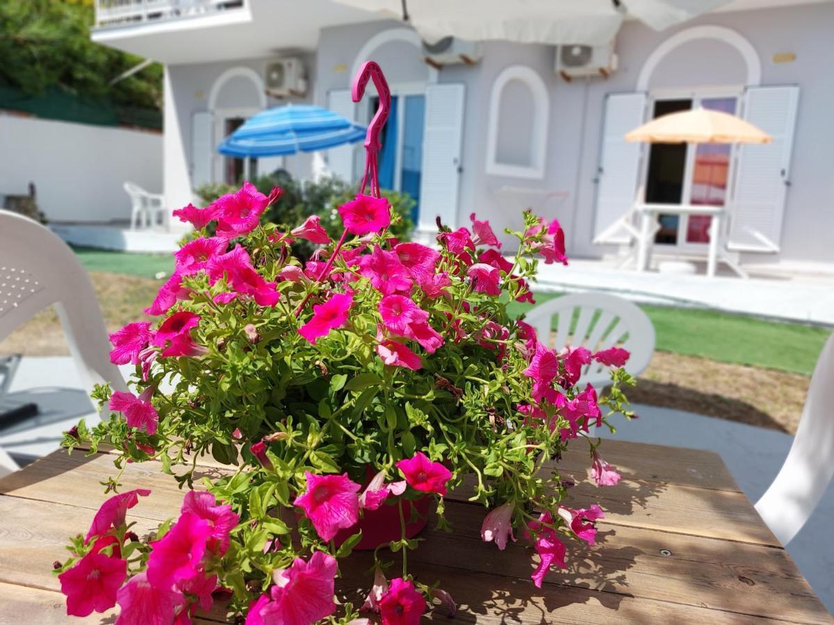 Leta * Agios Georgios (Corfu)
